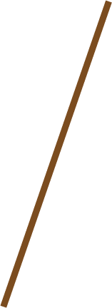 Fishing Rod